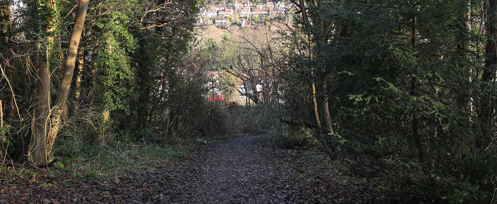 purley3
